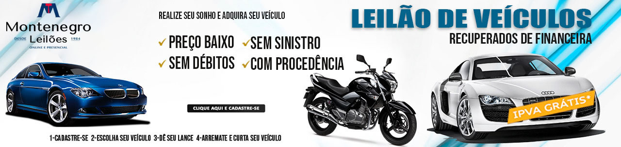Leilão de Pesados Leilo